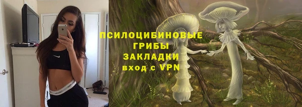 стафф Абдулино