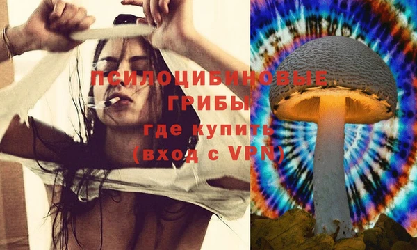 ешки Абинск